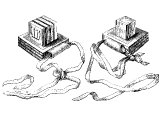 Phylacteries or Tefillin